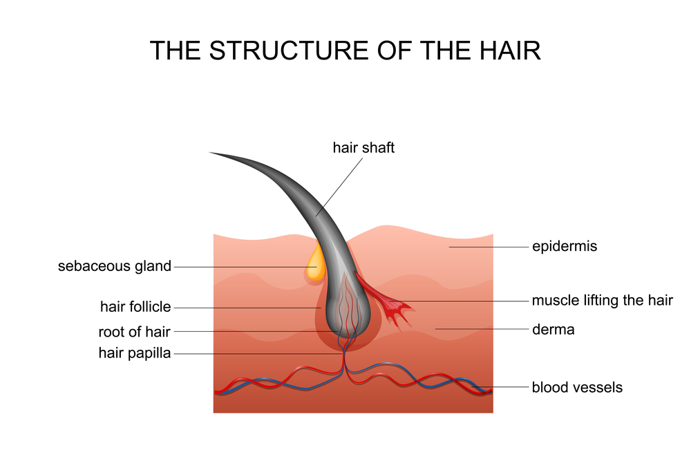 natural hair growth remedy