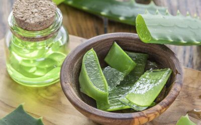 10 benefits of Aloe Vera to hair and skin