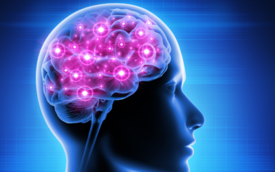 The Benefits of Olive Leaf Extract on Brain Health