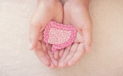 Probiotics and Exercise: How a Healthy Gut Supports Your Fitness Journey