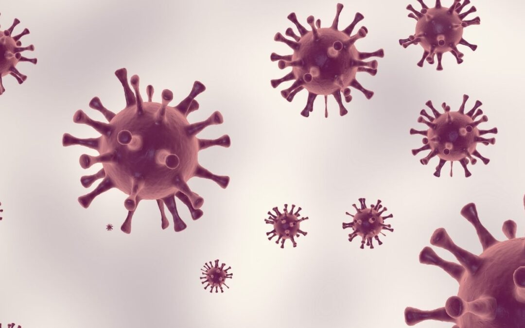 How Illness Spreads — And Why Immune Readiness Matters