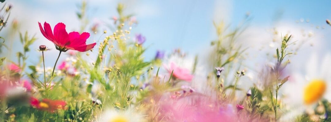 Spring Reset: Why Absorption Matters More Than What You Take