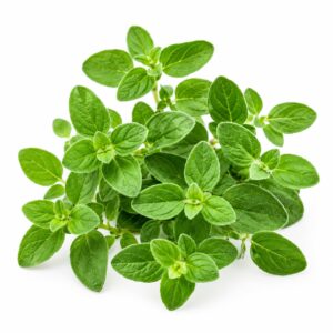 Oregano & Garlic